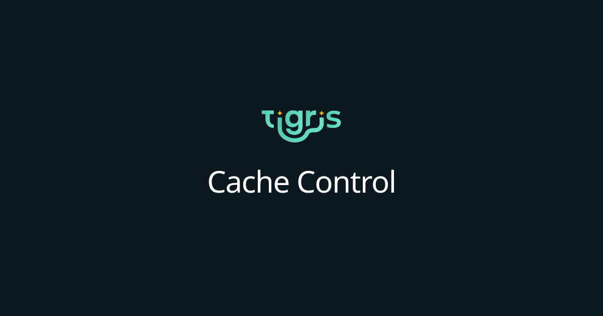 Cache Control | Tigris Object Storage Documentation
