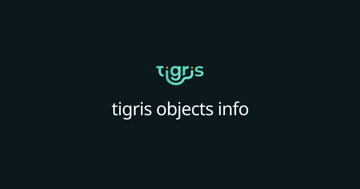 tigris objects info | Tigris Object Storage Documentation